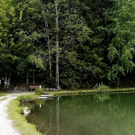 Haus Am Waldsee Apartmán Maishofen
