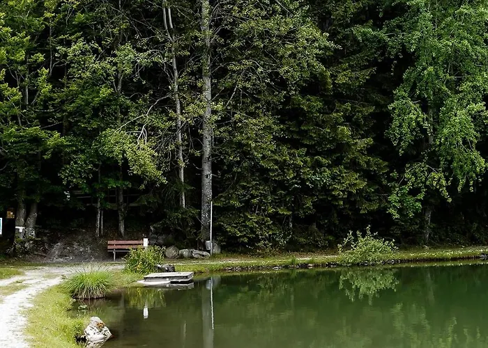 Haus Am Waldsee 아파트 마이스호펜