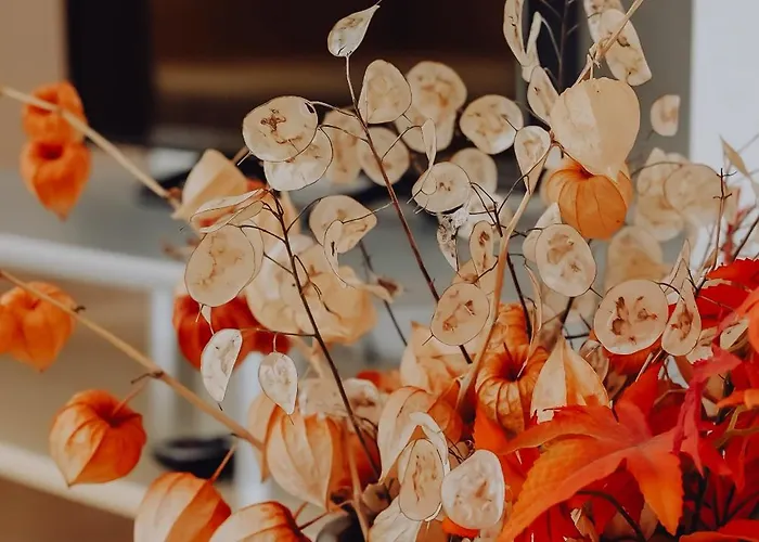 Haus Am Waldsee 아파트 *